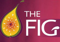 Wild Fig - Accommodation Gold Coast 0