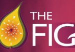Naked Fig - Accommodation Gold Coast 0