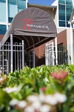 Ribaudos Ristorante - Accommodation Gold Coast 0