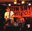 Elephant and the Wheelbarrow - Gold Coast 4U