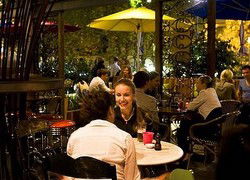 Treehouse Hotel - Gold Coast 4U 0