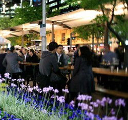 Quay Bar - Accommodation Gold Coast 0