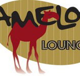 Camelot Lounge - Accommodation Gold Coast