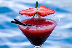 Blue Mango Wine Bar - Accommodation Gold Coast 2