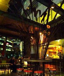 Treehouse Hotel - Gold Coast 4U 2