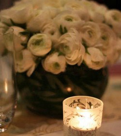 Chanterelle At Jessicas - Accommodation Gold Coast 3