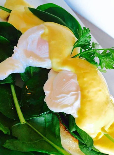 The Juniors - 1 Gold Coast 4