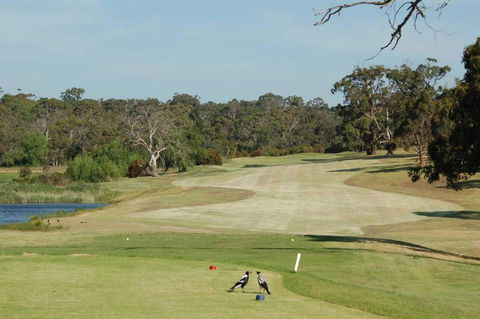 Devilbend Golf Club - Gold Coast 4U 1