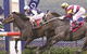 Gosford Race Club - thumb 0
