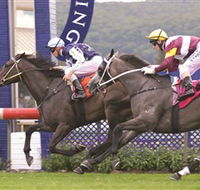Gosford Race Club - Accommodation Gold Coast