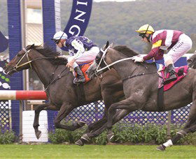 Gosford Race Club - Accommodation Gold Coast 0
