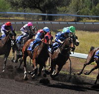 Alice Springs Turf Club - Accommodation Gold Coast