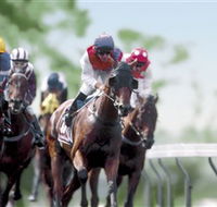 Colac Turf Club - Accommodation Gold Coast