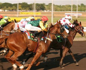Darwin Turf Club - Accommodation Gold Coast 1