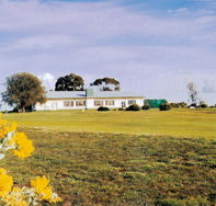 Lucindale Country Club - Accommodation Gold Coast