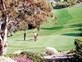 Victor Harbor Golf Club - Accommodation Gold Coast 1
