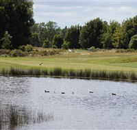 Llanherne Golf Club - Accommodation Gold Coast