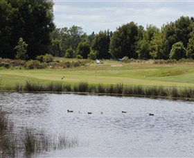 Llanherne Golf Club - Accommodation Gold Coast 0