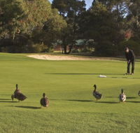 Royal Hobart Golf Club - Accommodation Gold Coast