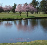RMC Golf Club - Accommodation Gold Coast