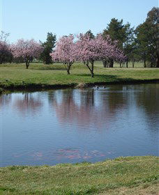 RMC Golf Club - Accommodation Gold Coast 0