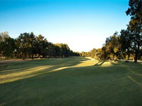 Loxton Golf Club - Accommodation Gold Coast 2