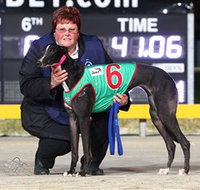 Bulli Greyhound Racing Club - 1 Gold Coast