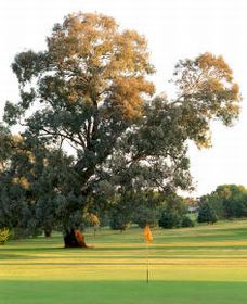 Cowra NSW Gold Coast 4U