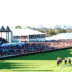Morphettville SA Gold Coast 4U