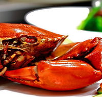 Newquay International Buffet - Accommodation Gold Coast