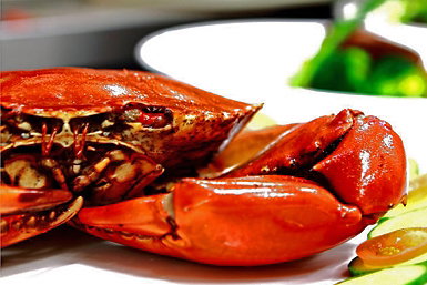 Newquay International Buffet - Accommodation Gold Coast 0