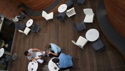 Blues Point Hotel - Accommodation Gold Coast 2