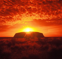 Annie's Place - Accommodation Gold Coast