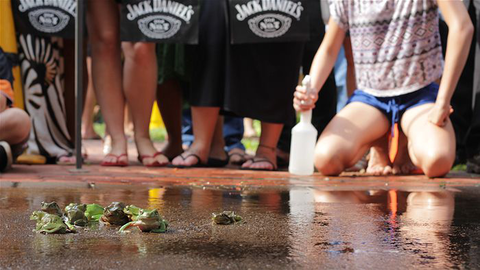 Noonamah Tavern - Accommodation Gold Coast 3