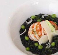 finefish - Accommodation Gold Coast