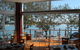 Mekong Thai–Lao Restaurant - thumb 4