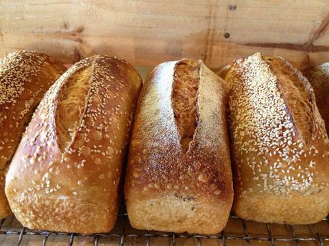 Blackbird Artisan Bakery - Accommodation Gold Coast 0