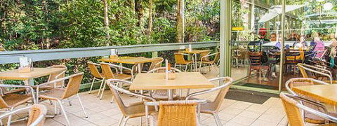 Rainforest Cafe (Sea Acres) - Accommodation Gold Coast 1