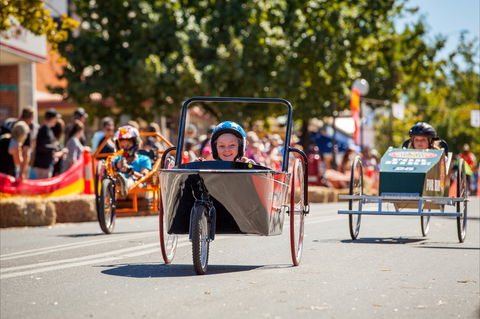 Australian Billy Cart Championships - Accommodation Gold Coast 2