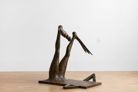 Camille Henrot - Accommodation Gold Coast 0