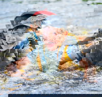 Cave Hill Creek Summer Camp - Accommodation Gold Coast