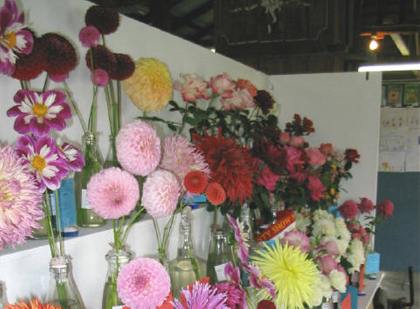 Avonside NSW Accommodation Gold Coast