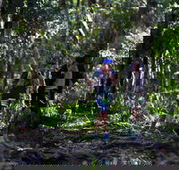 Elephant Trail Race - Accommodation Gold Coast
