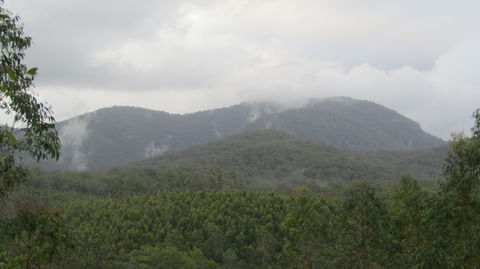 Elephant Trail Race - Accommodation Gold Coast 2