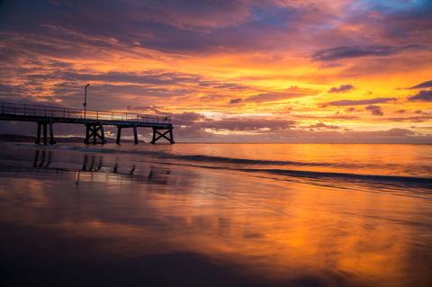 Festival Of Nature - Accommodation Gold Coast 2