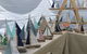 Fig Tree Markets - thumb 0