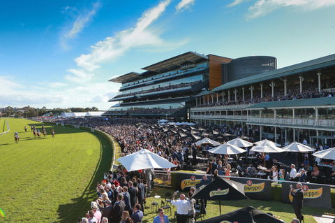 George Main Stakes Day - Accommodation Gold Coast 1