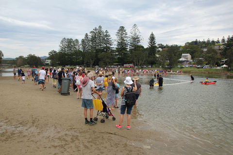 Gerringong Men’s Shed Annual Duck Derby - Accommodation Gold Coast 2