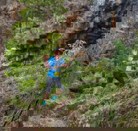 Goldrush Trail Runs - Accommodation Gold Coast