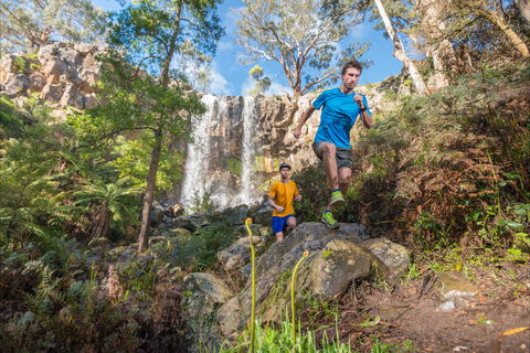 Goldrush Trail Runs - Gold Coast 4U 1